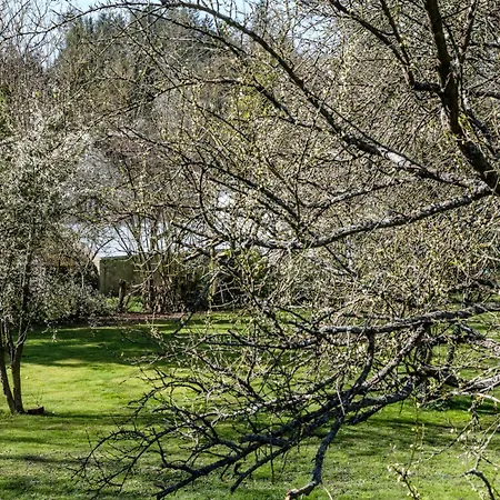 Alojamento de Acomodação e Pequeno-almoço Aux Passiflores