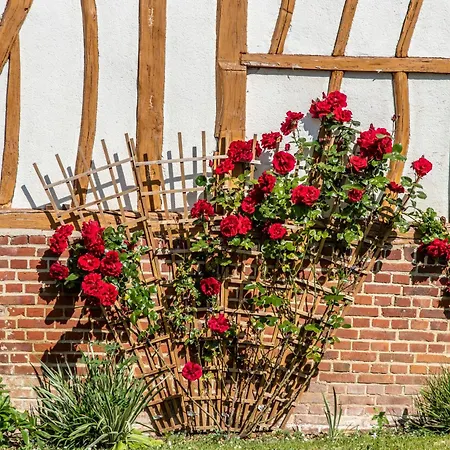 Alojamento de Acomodação e Pequeno-almoço Aux Passiflores 3*